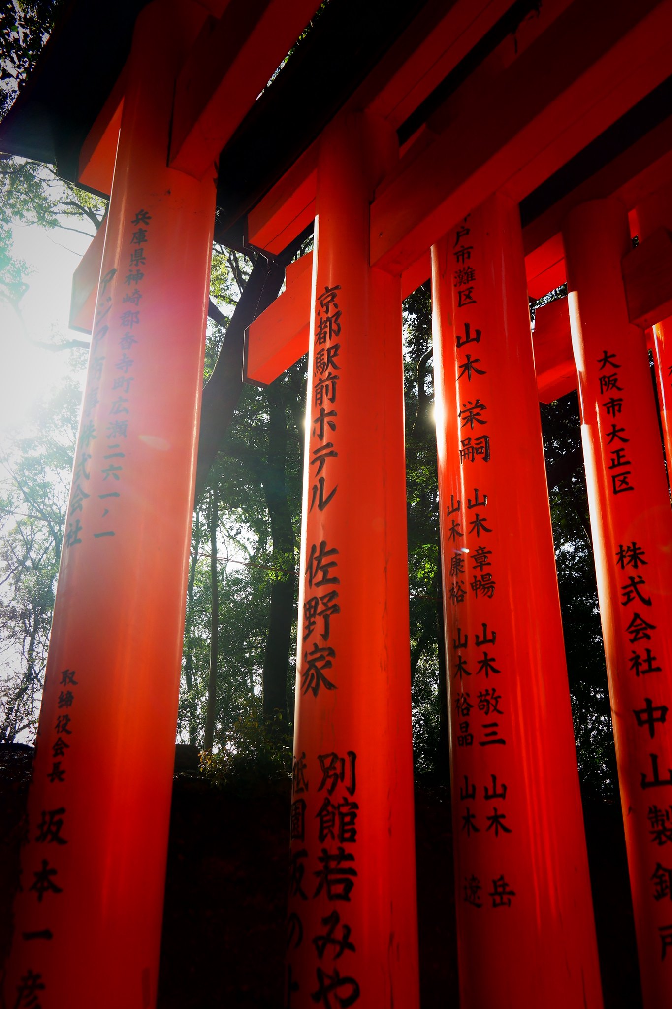 Fushimi Inari, Japan